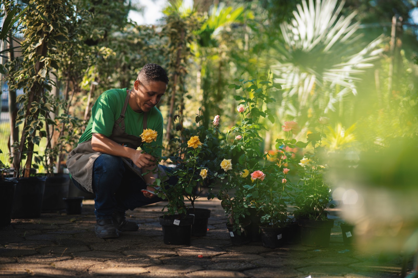 Jardineiro da Casa e Flor cuidando das mudas no jardim