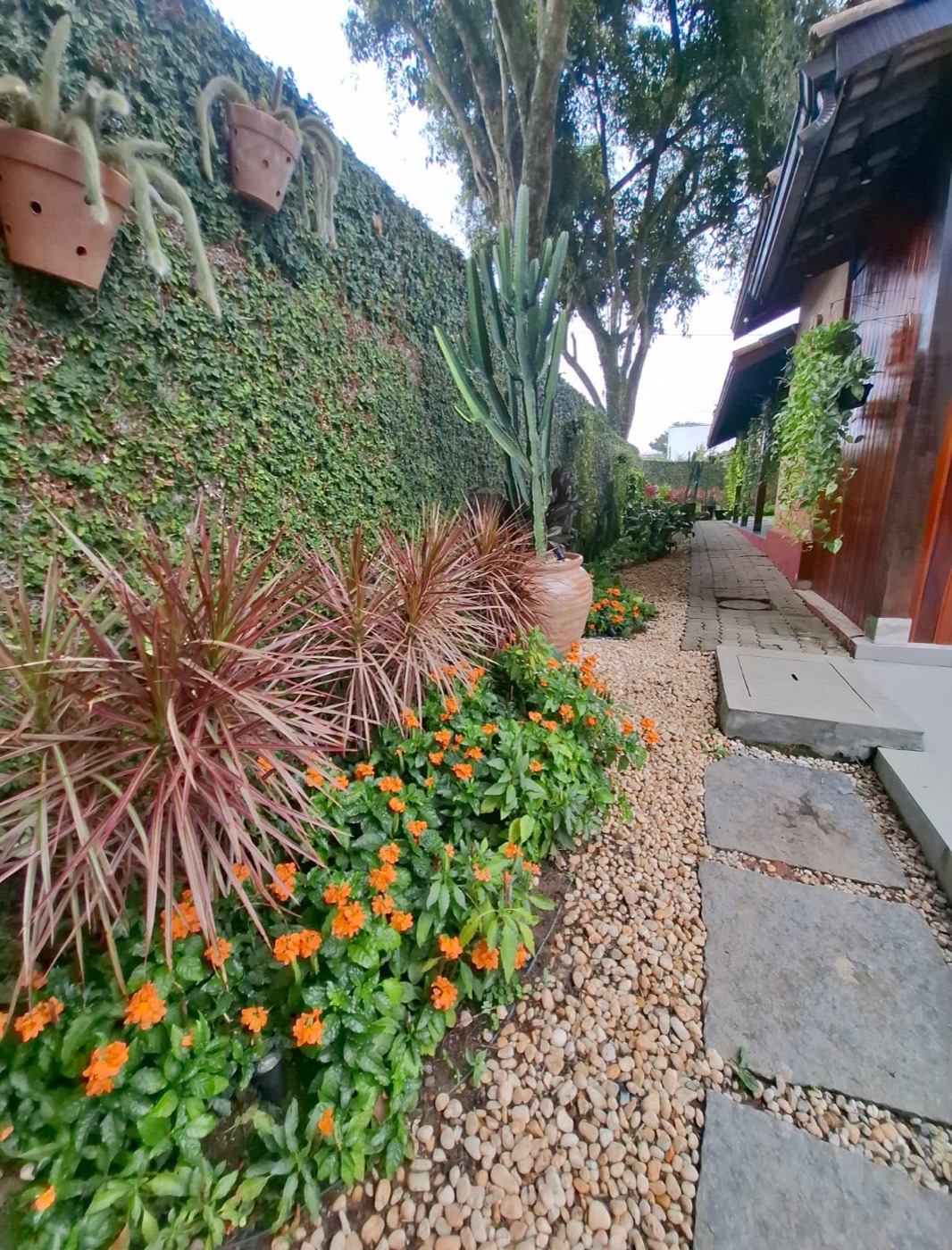 Canteiro com dracenas vermelhas, flores laranja e pedriscos ao lado do muro verde